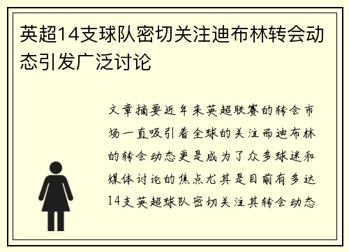 英超14支球队密切关注迪布林转会动态引发广泛讨论