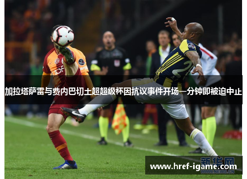 加拉塔萨雷与费内巴切土超超级杯因抗议事件开场一分钟即被迫中止 加拉塔萨雷与费内巴切土超超级杯因抗议事件开场一分钟即被迫中止
